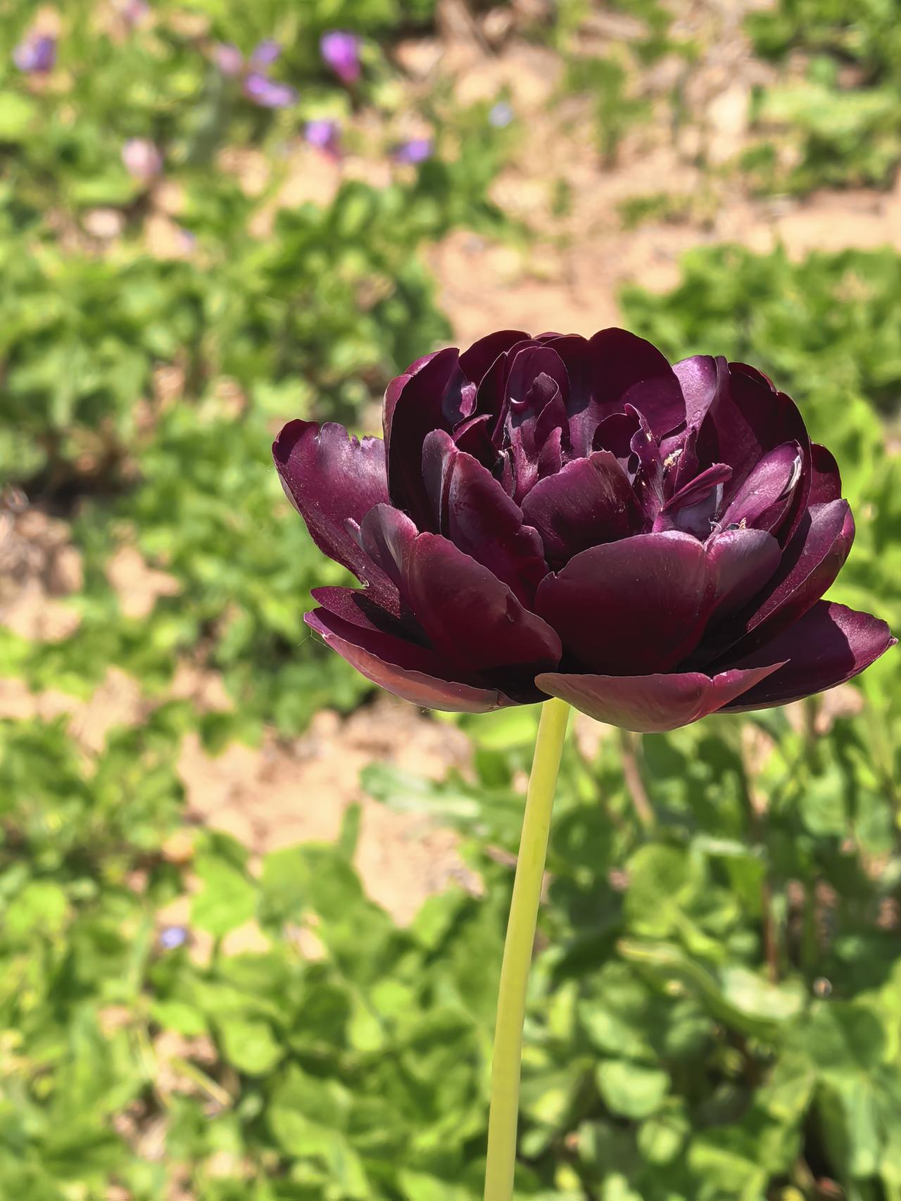 前些天，我打算定投寬指ETF。这次学聪明了，买的是A类ETF。我是有教训的。