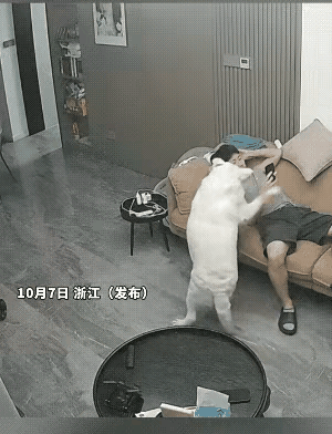两夫妻玩手机入迷，锅中水烧干了也一点儿没觉察到，狗狗在男主人面前狂吠，男子还以为