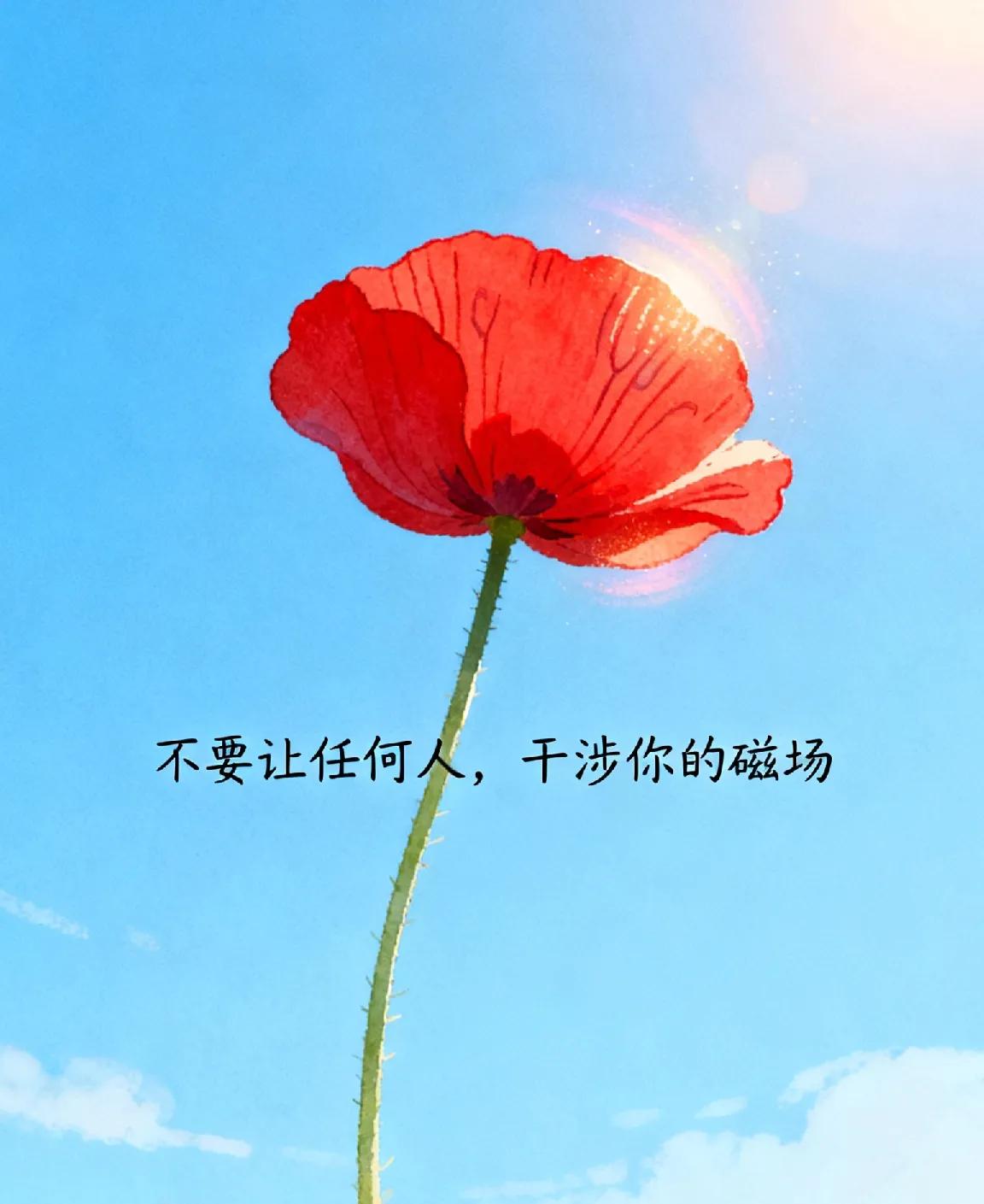 刘震云说：“有什么好焦虑呢？来到这个世界的人，有几个是活着回去的？