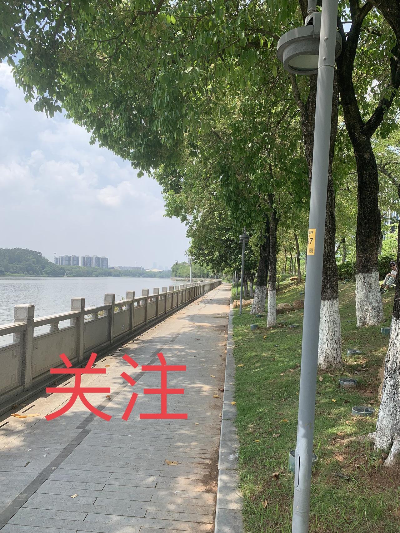 在社交媒体的世界里，关注、粉丝和获赞构成了创作者生存的三要素。这三者看似相辅相
