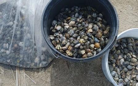 两位中国阿姨在希腊出事儿了，她们一个61岁，另一个54岁，蹲在希腊北部安菲波利港