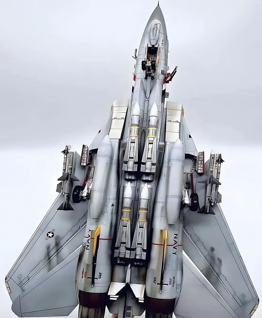 美国F-14雄猫航母舰载机。搭载不死鸟空空导弹，当年简直就是逆天的存在。F-1