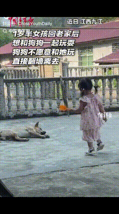 江西九江，一岁半小女孩回乡探亲，盯上院子里熟睡的狗子。狗子佛系装睡避让，女孩拿玩