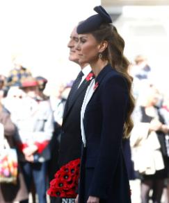 凯瑟琳王妃一头假发，宛如瀑布。威廉王子半个灯泡，照亮了日不落。凯特因为健康原因