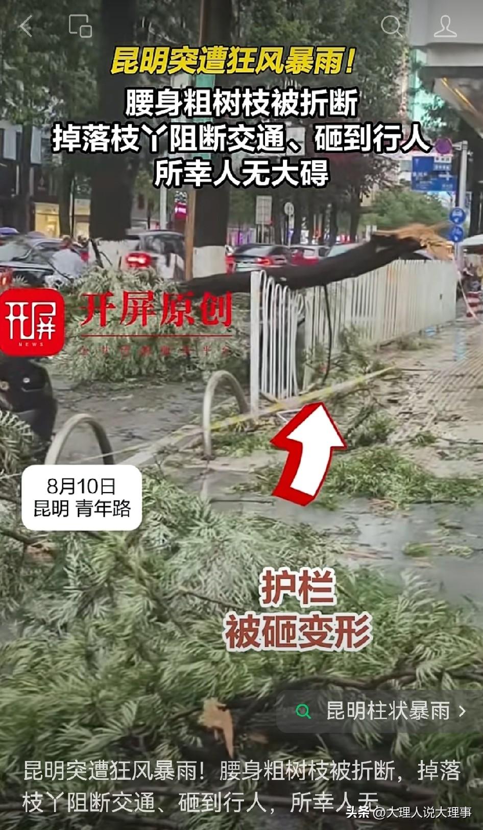 8月10日，昆明这场狂风暴雨着实令人胆战心惊！那风好似发了疯一般，连腰身粗的树枝