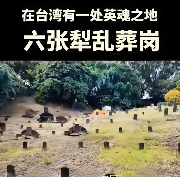 前几天有学生去荒地拍视频，发现地上全都是碎骨头和老砖块。后来专家说是国民党抓人处