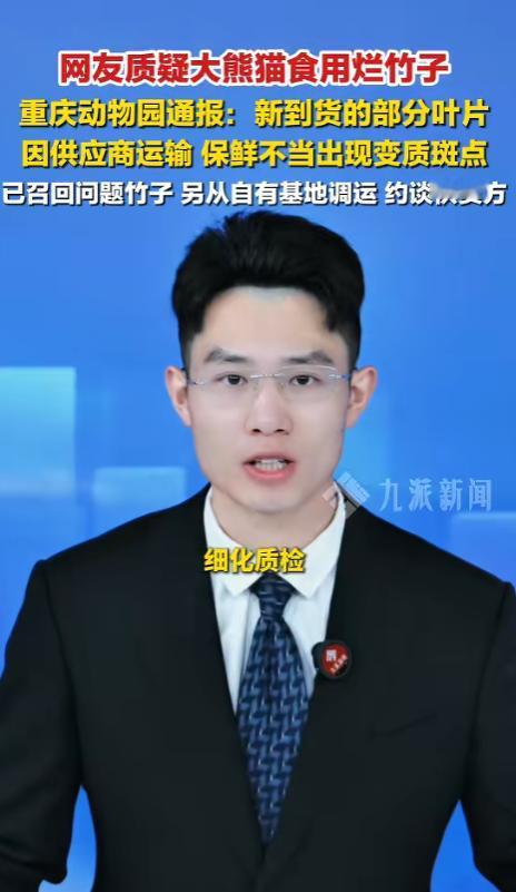 离谱！重庆动物园熊猫啃黑斑烂竹子，网友怒喷太敷衍，园方深夜急回应整改。 事情