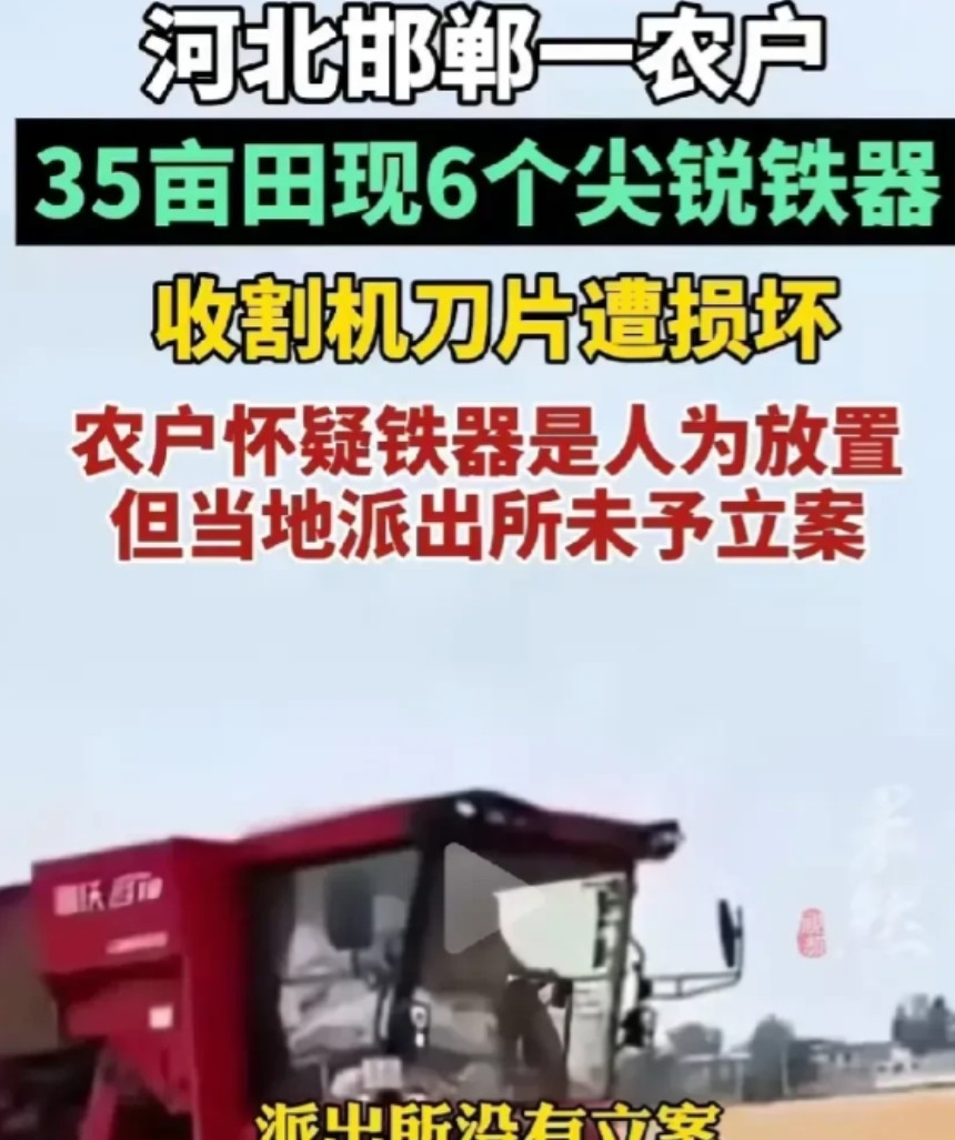 河北邯郸，王某承包35亩地种小麦，一干就是7年，和村里人相处融洽。今年夏收，收割