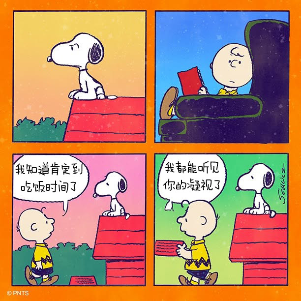 我正在准备的那顿豪华晚餐本该是个惊喜，结果消防车把计划给搞砸了！