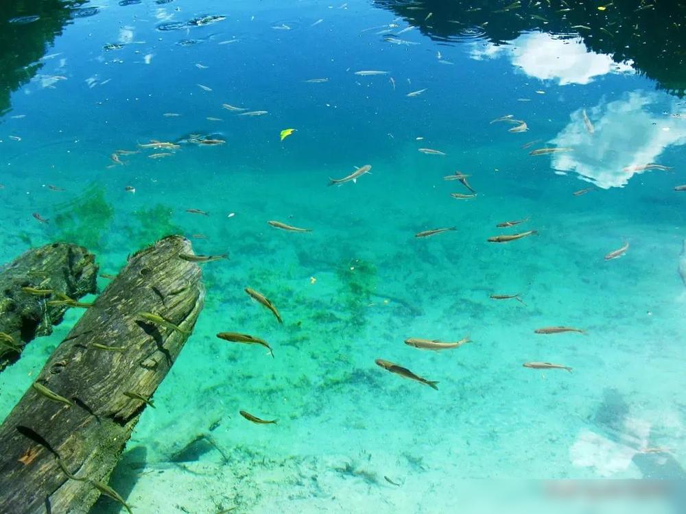 没有那么玄乎，一切都能用科学解释清。2000年我那私立中学在校外挖了个大土坑