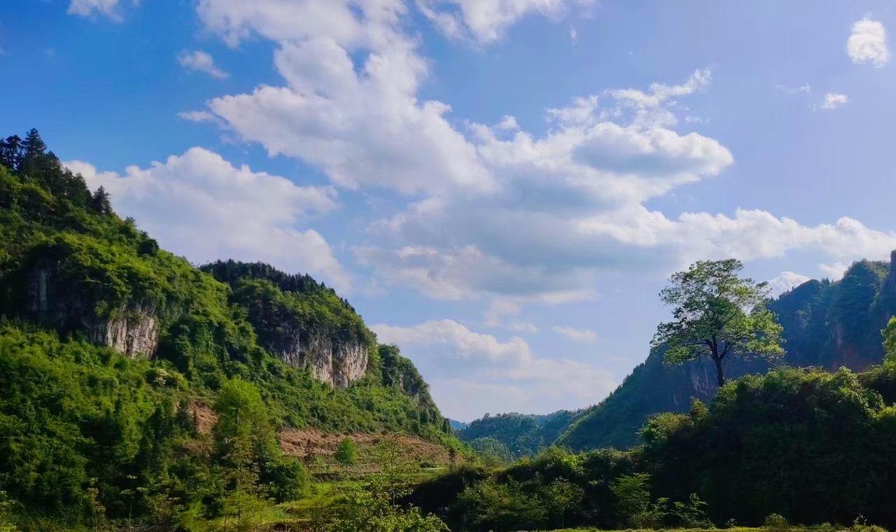 刘震云：在这个吃人的社会上人不狠站不稳。七分慈善敬君子，三分匪气震小人。所有不