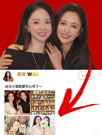 铁打的姐妹情了👭！原来佟丽娅不仅自己出钱，还让澳洲的闺蜜抵押房子来保释高云