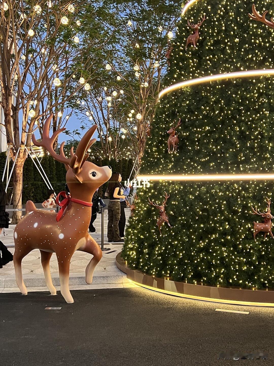 深圳过圣诞的卷王属性藏不住了！🎄才11月就把浪漫拉满，穿短袖过圣诞了[笑