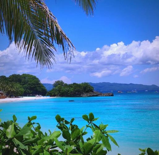 南海挑衅引追问！印越前车之鉴，菲律宾敢赌吗？菲国记者当面追问小马科斯：“1