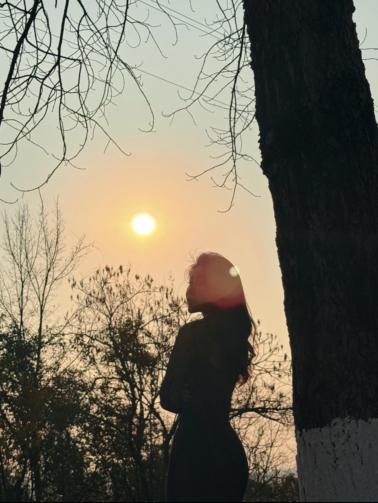 夕阳西下，树影婆娑，静享这片刻的宁静与美好。夕阳西下日落照