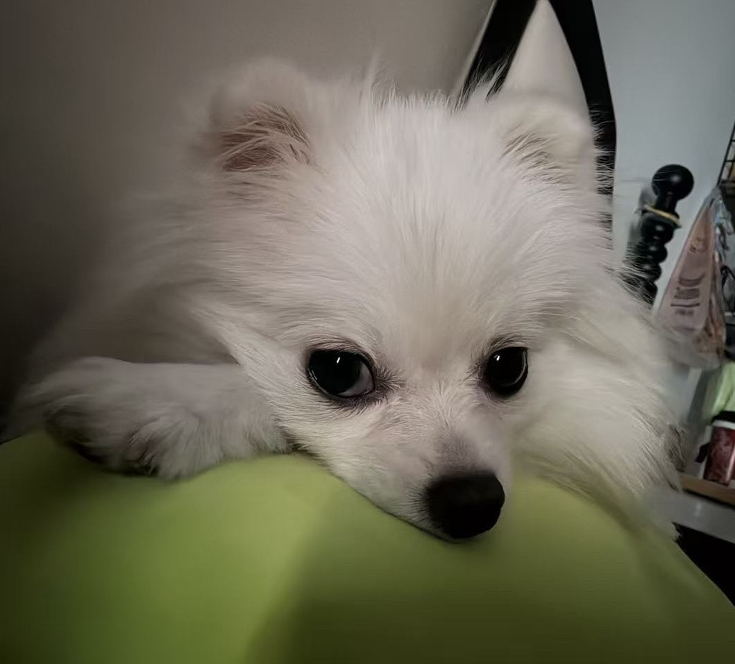 贼眉鼠眼的​​​