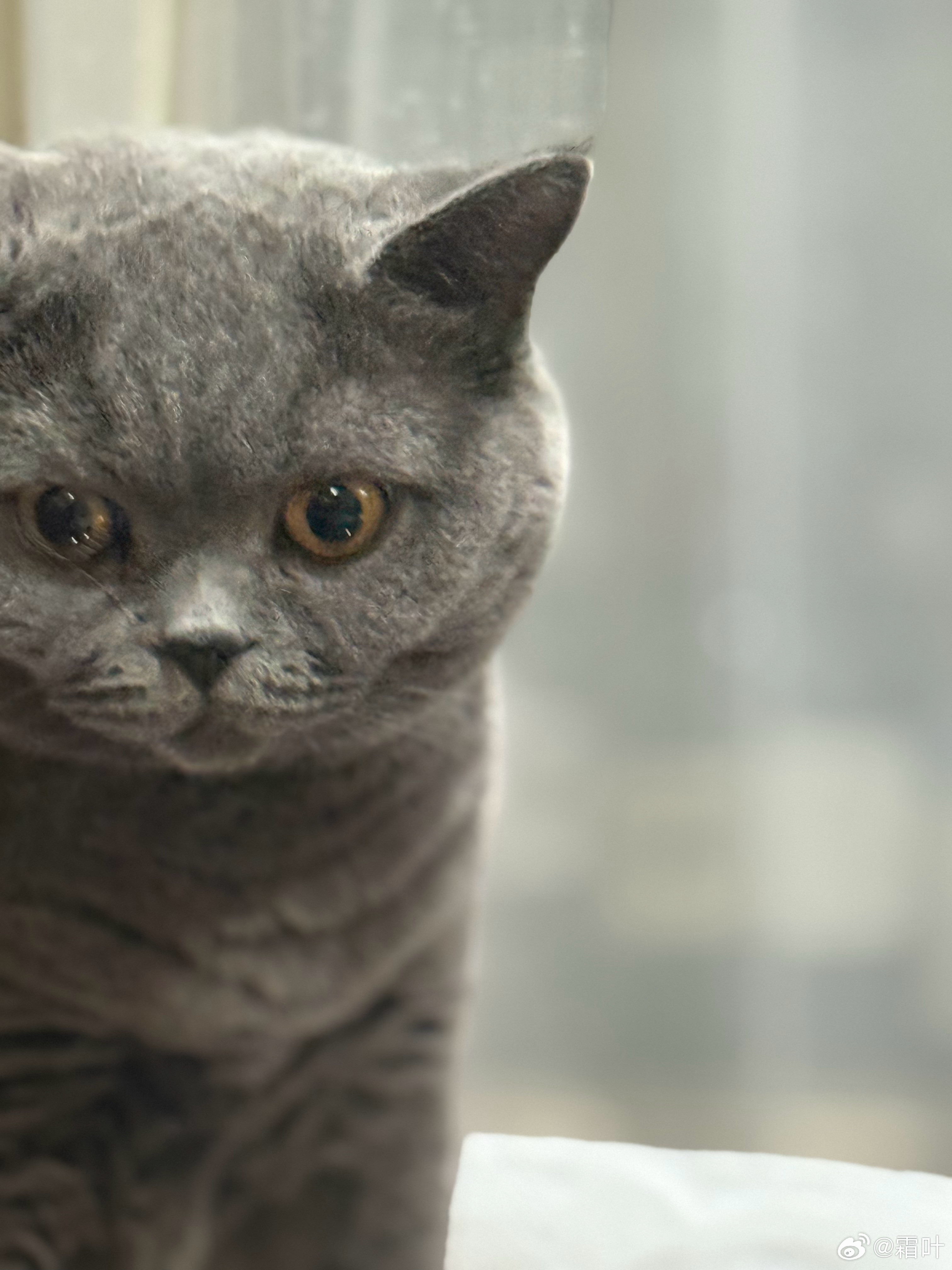 呜呜呜水灵灵错过一个涨停心里苦