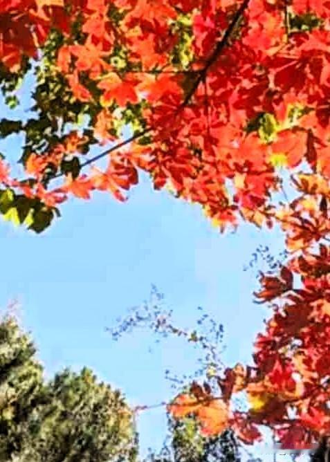 十一月再见了，十二月你好呀！友时间过的真快，十二月翩然而至。愿岁月温