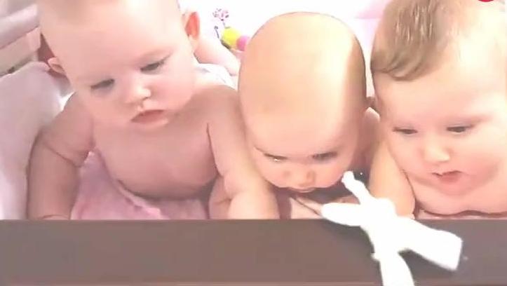 17283729568858518837.jpg?id=0