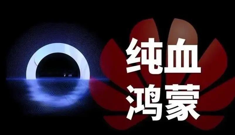 2025见证原生鸿蒙更新力量1994年中国全功能接入国际互联网，开启互联网时代