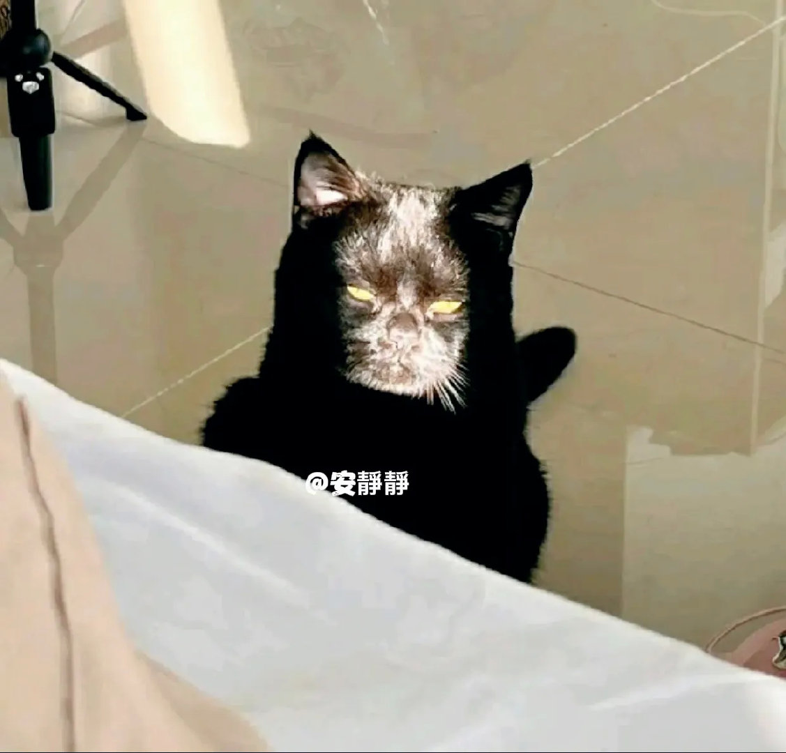 别人都是个可爱的宝宝，你是个啥嘛！