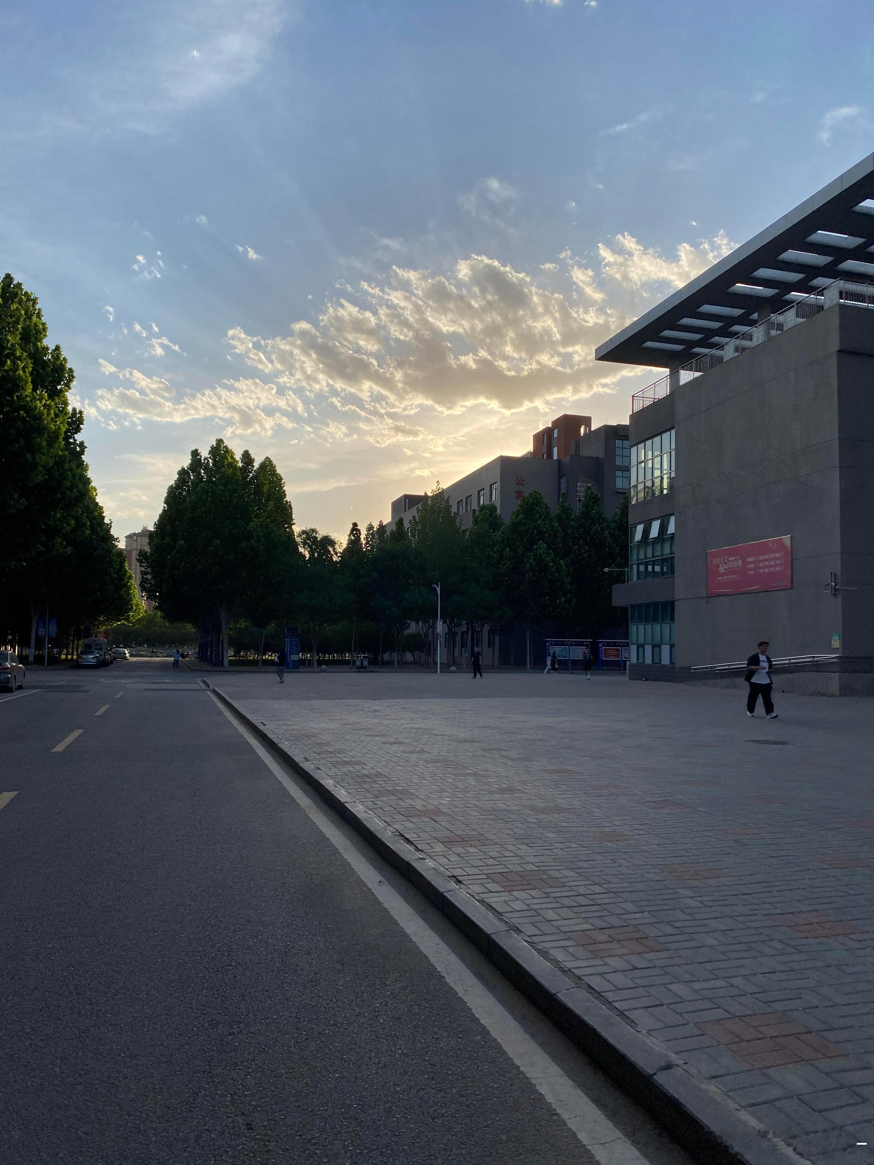 大学生喜爱内容共创计划校园生活没课的午后格外舒心，独自漫步熟悉的校园小道。阳光