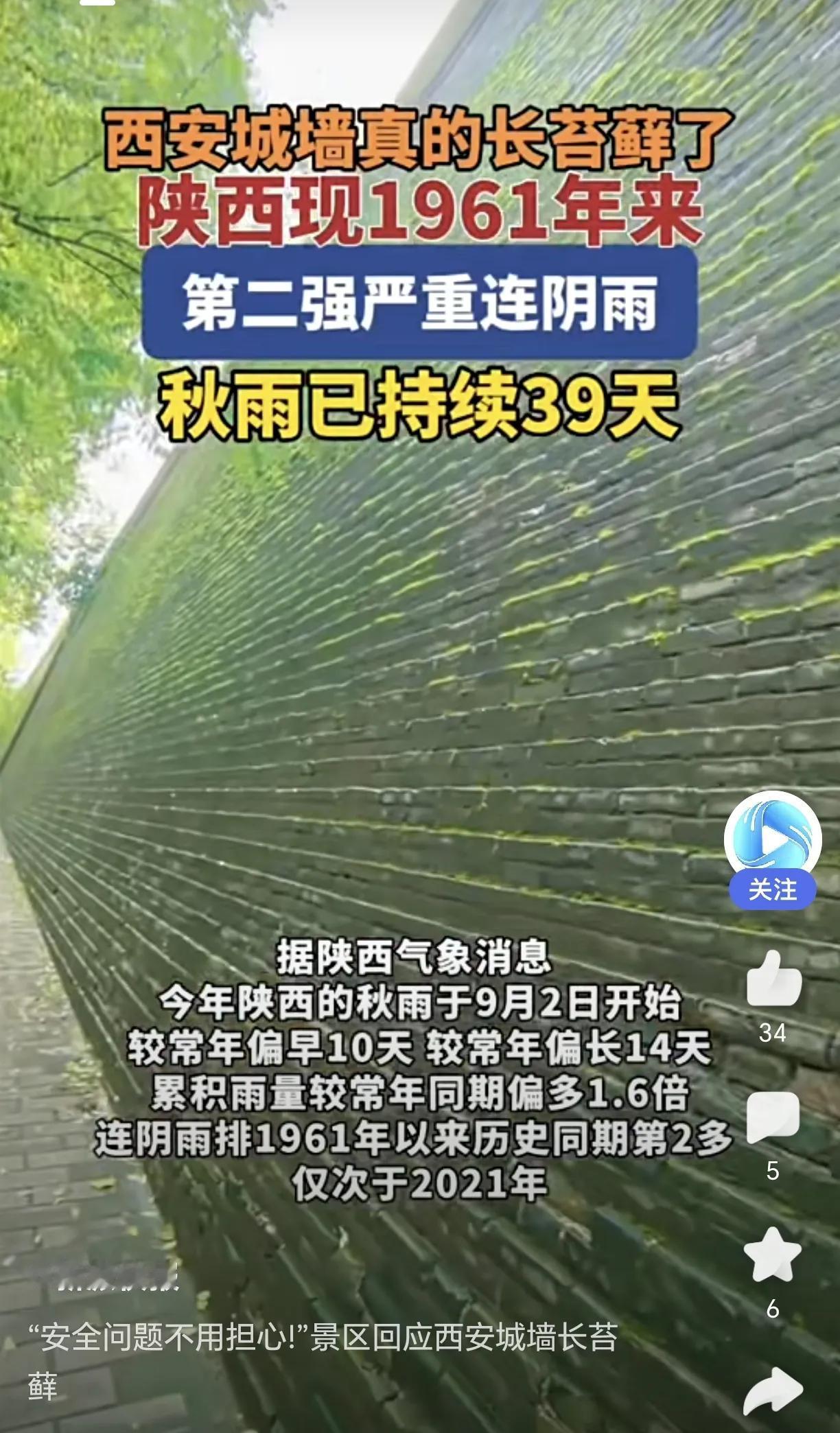 西安连阴雨创纪录！男子盘玩4年的文玩核桃竟发芽，已入土种植近日，西安持续40