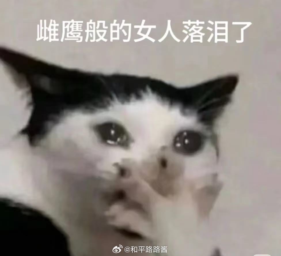 王一博聊天记录这一看就是两个小女生在一起疯狂吃瓜哎难道你说王一博在xhs买30