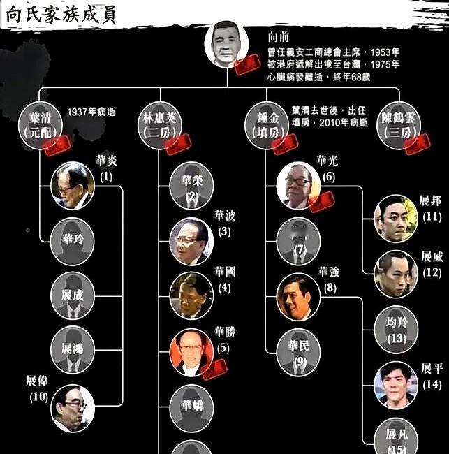 二房儿子当二把手，向家真不玩嫡庶向华炎1953年接龙头，才二十出头，底下九