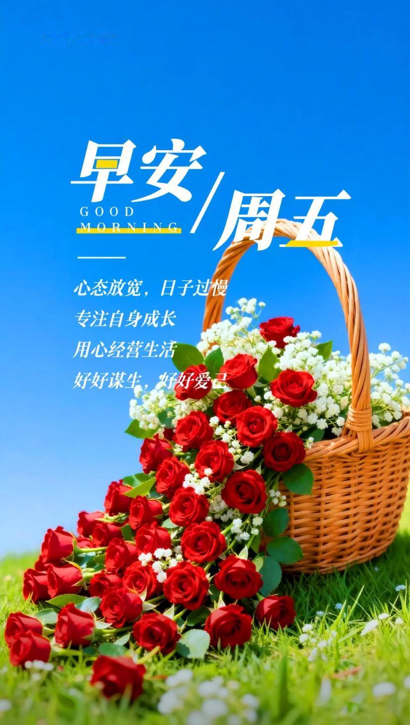 夏晨问安，浅夏风和万事顺，安澜日暖福长临。2026./5.15.[玫