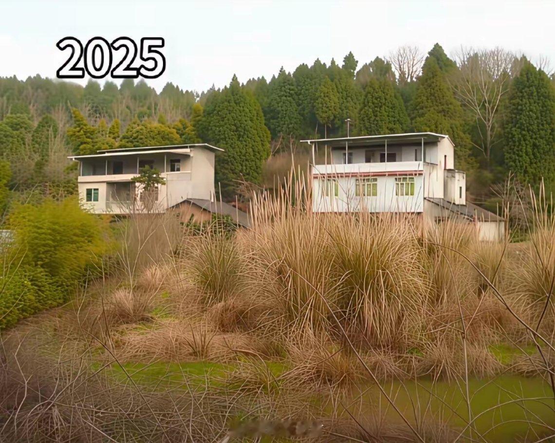 现在很多农村，是不是都变成这样了？小时候很多人种蔬菜水果还有种田，现在都荒掉了很