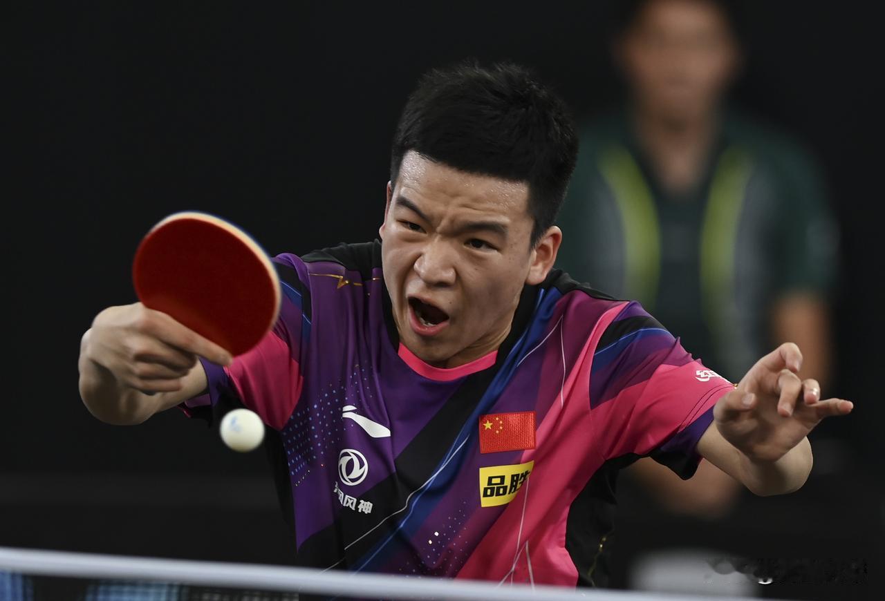 男单下半区失守，向鹏0比3不敌中国台湾选手林昀儒。从比分来看，双方实力差距较大，