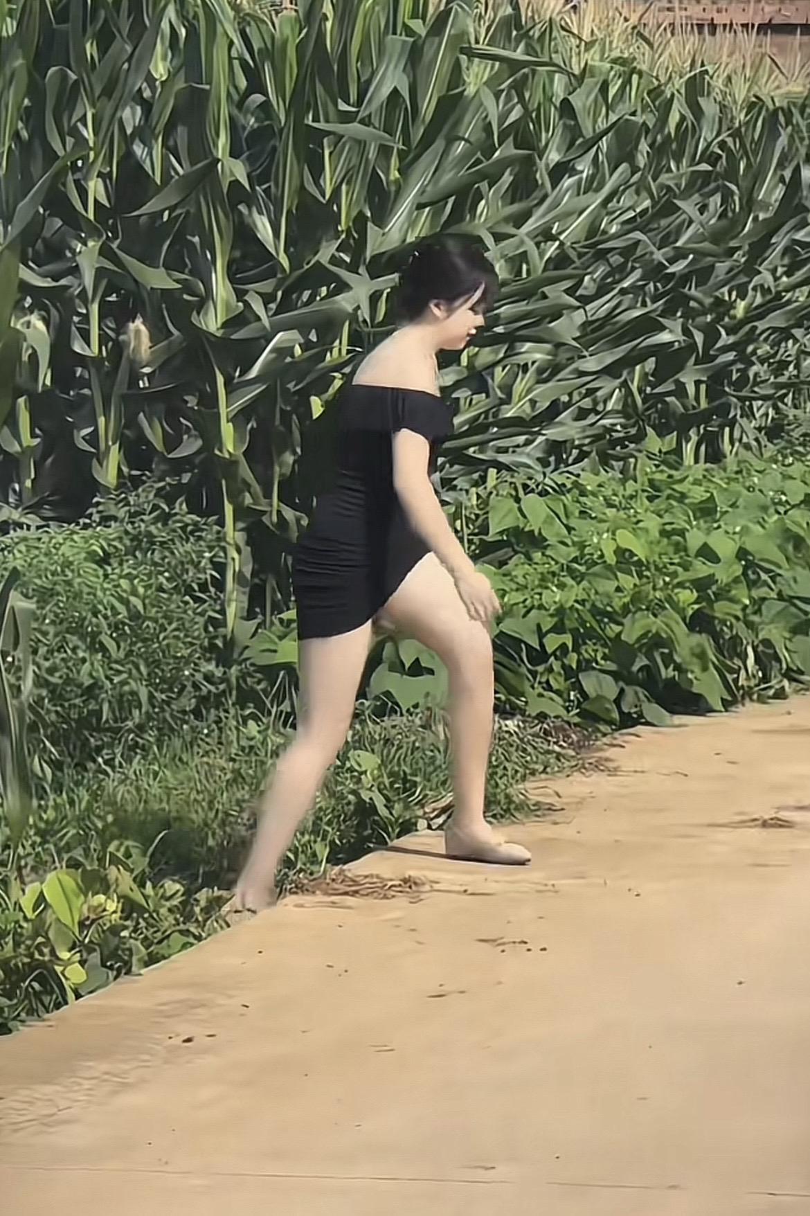 玉米地 夏天的味道