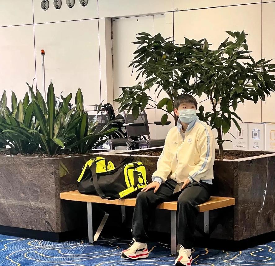 香港机场被安排看包的莎莎，乖乖地坐在那里东张西望，好像在说：“怎么还没人来接
