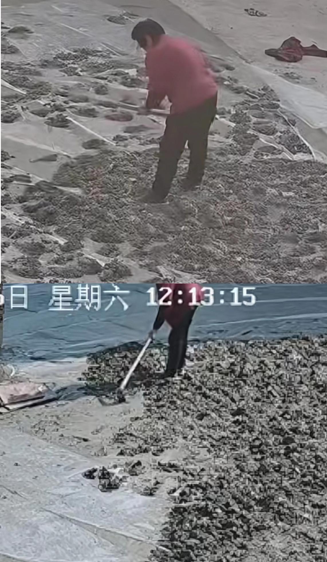 震惊！湖南八旬老人怒毁未干水泥路，100㎡路面全被挖，村民集资款打水漂？近