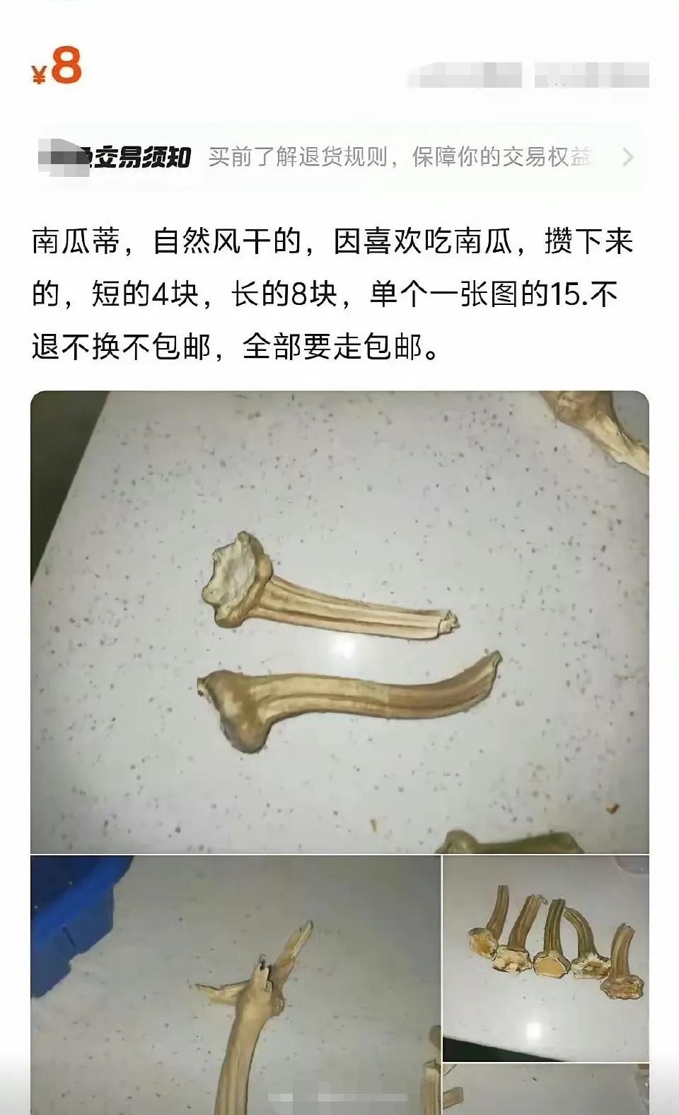 这个也能卖钱？8块钱一个，价格都快要超过南瓜本身了，这个买回去能干啥？