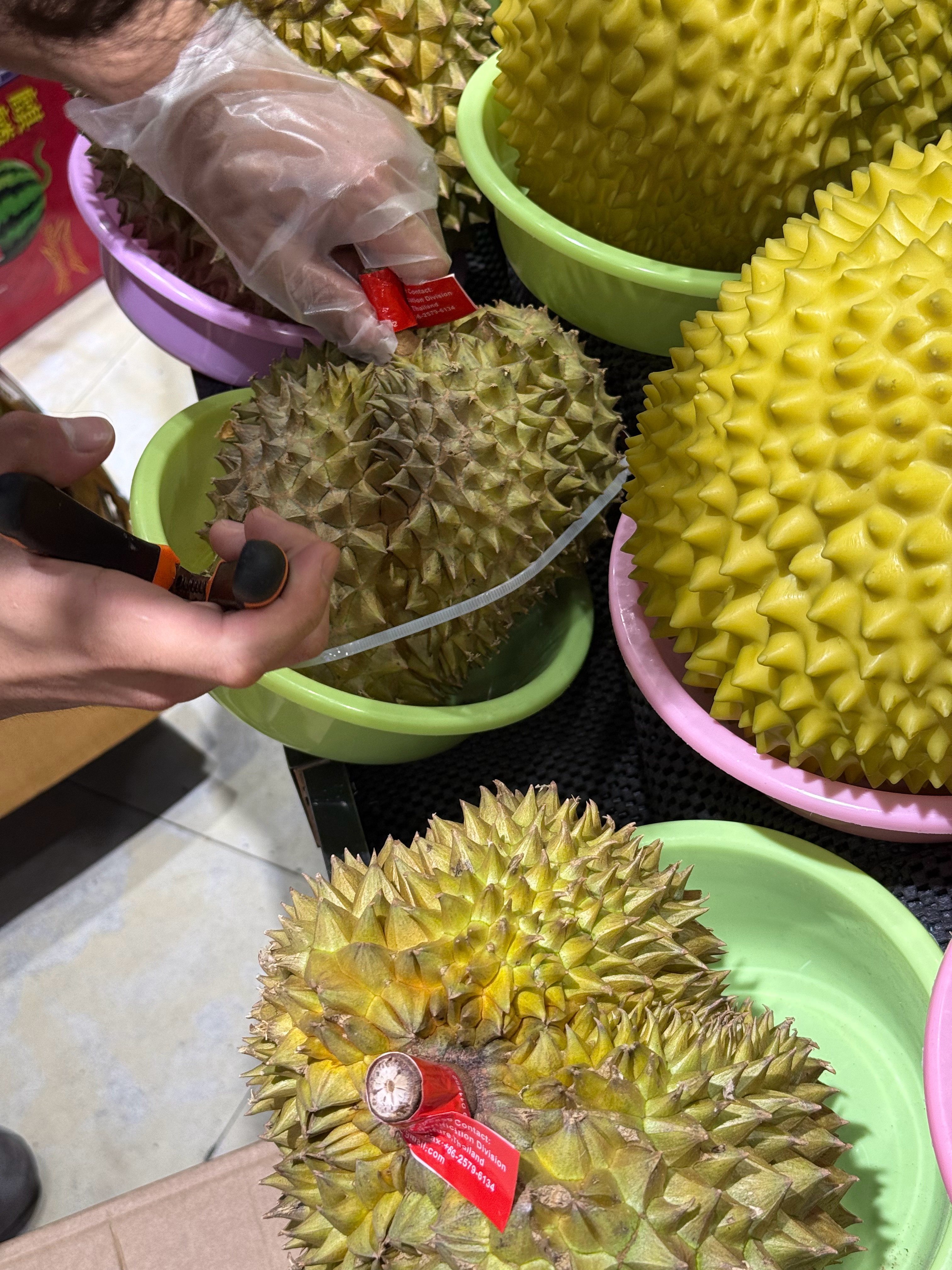 今天天气好凉快呀，吃完饭走路回家遇见一家水果店想开一个榴莲盲盒，但是电源把店里所