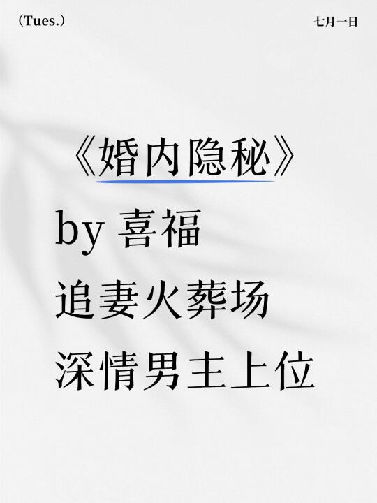 婚内隐秘 喜福 新完结 深情男主上位