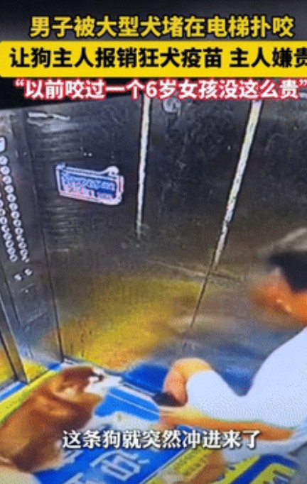 “必须严惩！”山东临沂，男子刚走进电梯就被一只大狗扑咬，本来狗主人答应赔偿疫苗费