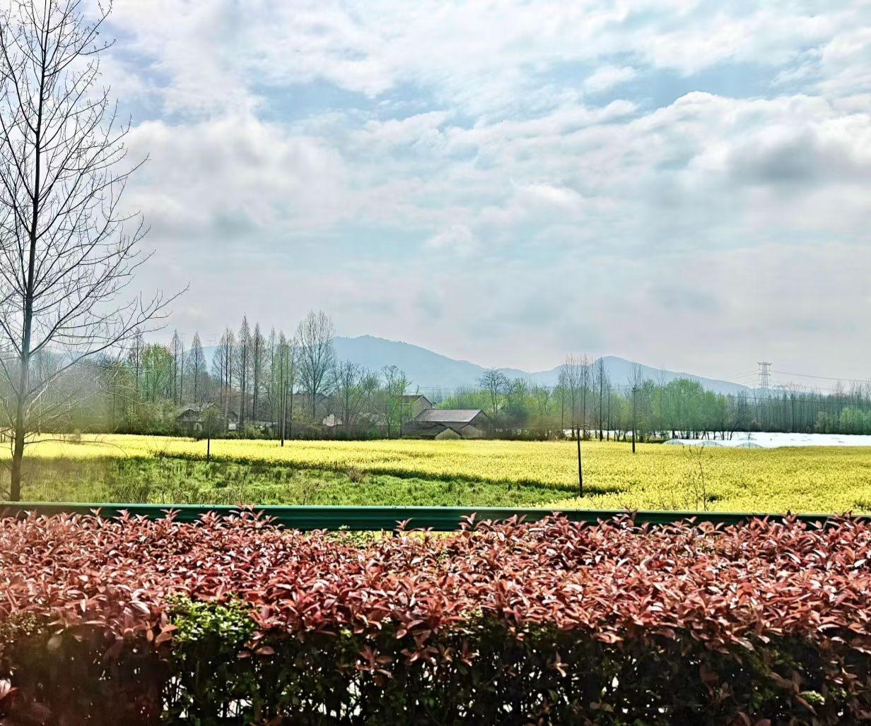 车窗掠过的春日，是漫野金黄的油菜花，是远山含黛的温柔，是人间烟火里最治愈的风景。