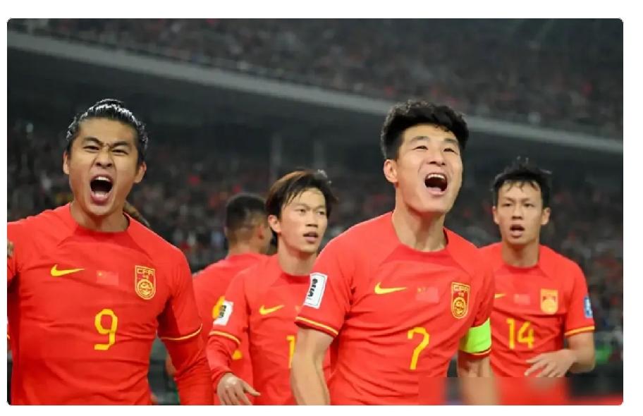 国足又没进世界杯，钱都花哪了？答案扒出来，心脏都凉了半截。足协一年进账5.8