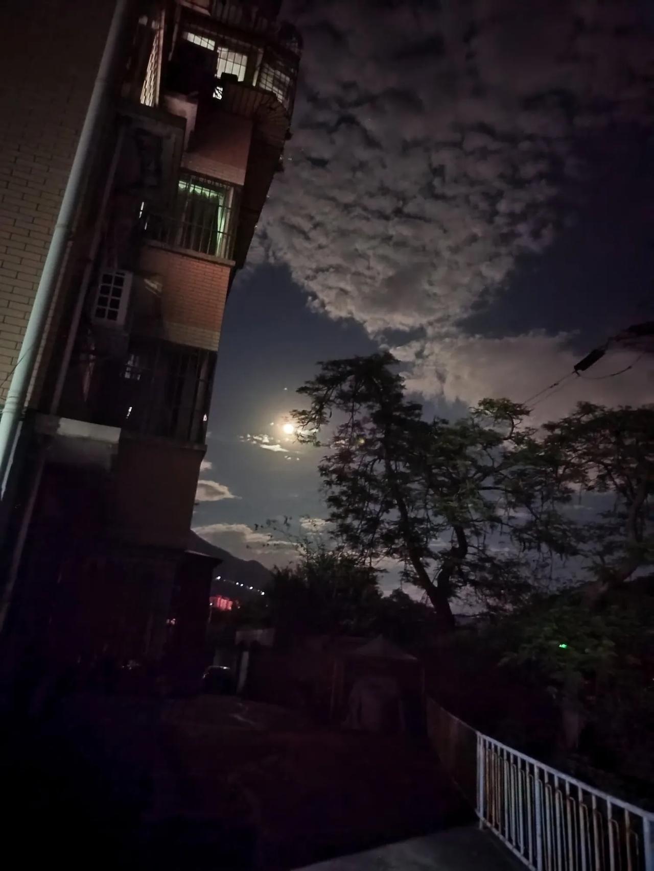 今年春天最想实现的心愿中双色球一等奖