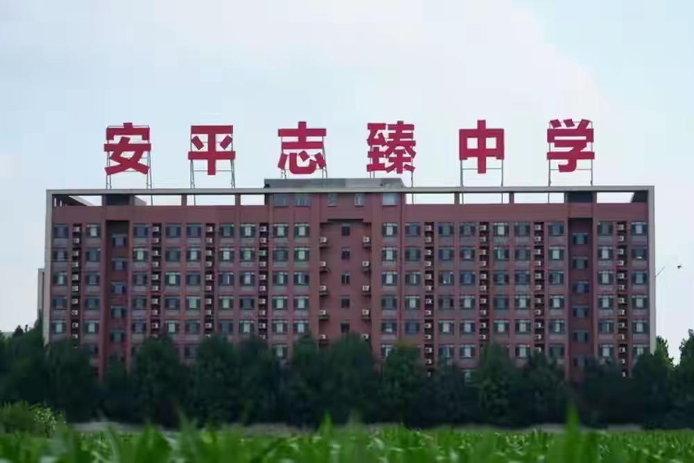 2元买走8亿股权，​涉事的安平至臻中学，​我查了一下，结果发现，这所民办中
