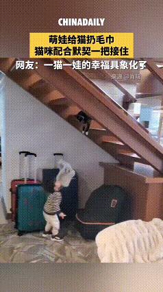 看完这段视频心都软了。家里的小萌娃站在楼梯下，抬手往上面扔毛巾，楼梯上的猫咪居然