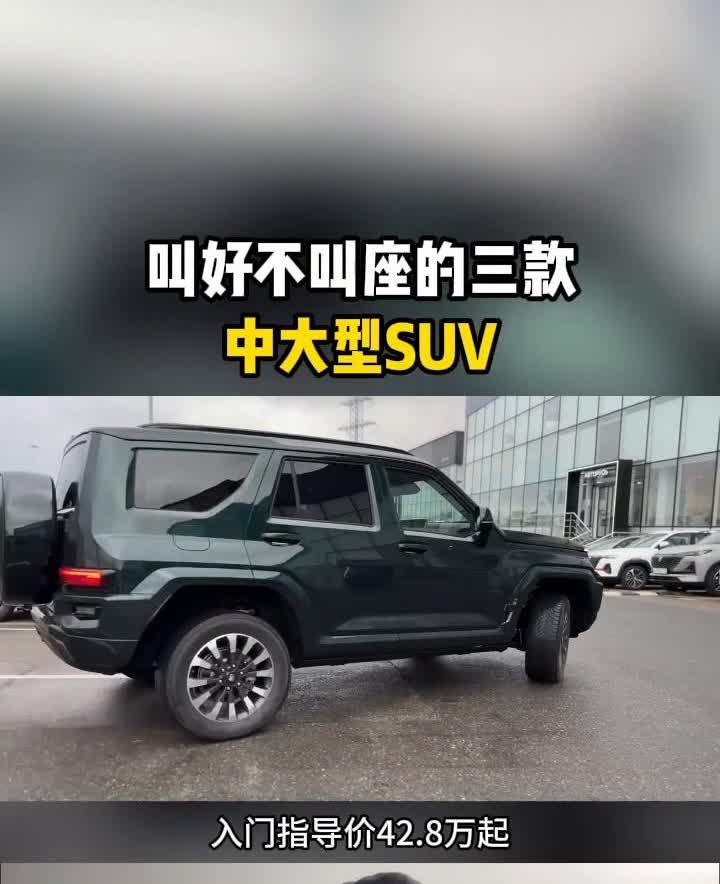 叫好不叫座的三款中大型SUV。叫好不叫座的三款中大型SUV。·第二款：坦