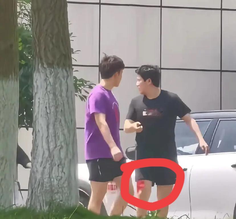 伦敦世乒赛有人说：“让温瑞博顶上去，冠军就有希望了”。我不赞同，理由有3点。