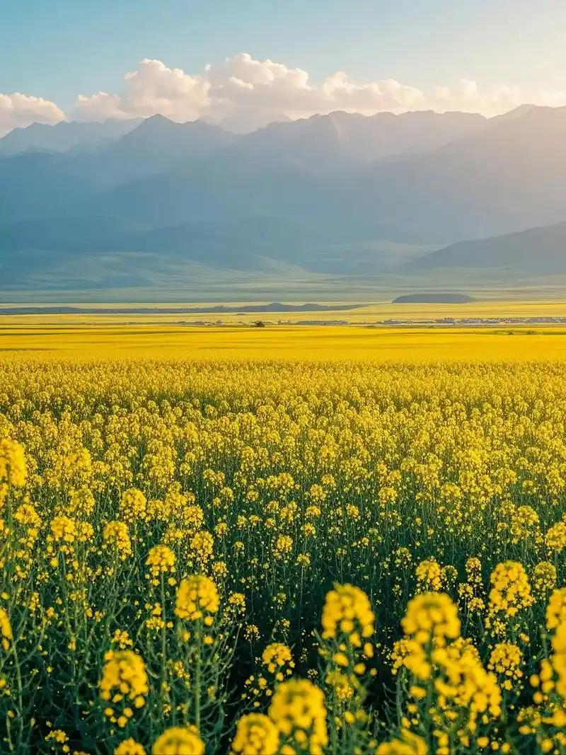 为什么要搭讪？——网上视频：一中国男子搭讪外国女子，聊了十几分钟。一开始，女子