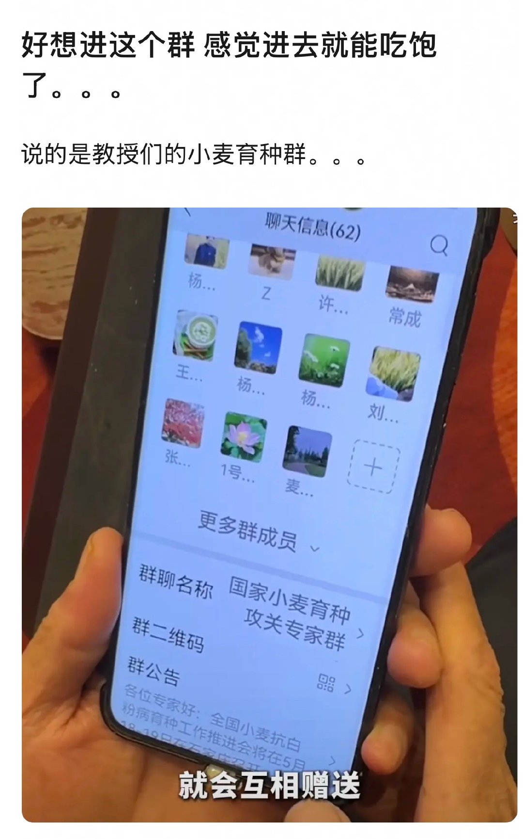 民以食为天，食以安为先。