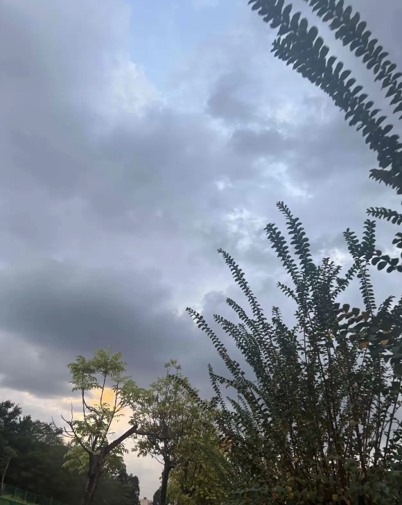 大家发现没有凡是只生一个孩子的家庭走到哪里只要被问起只有一个孩子时，都会被劝