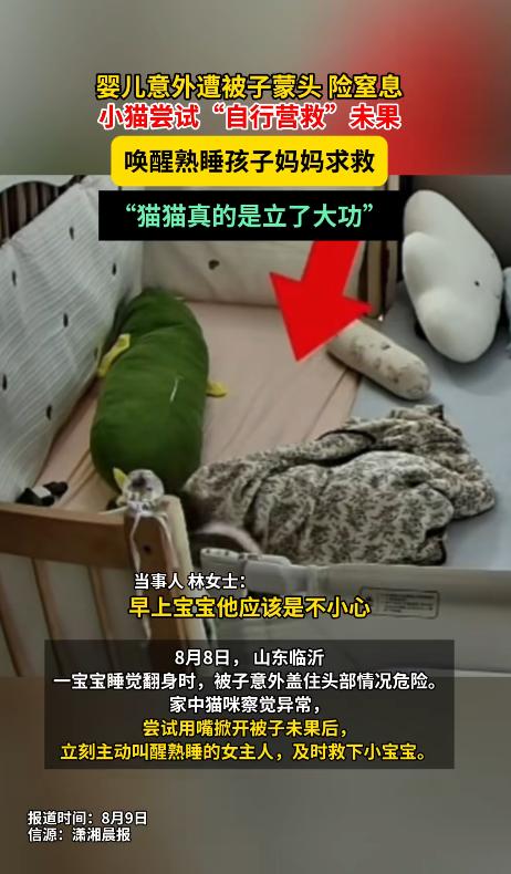 “万物皆有灵！”2026年8月8日，山东临沂一个普通家庭里，一名7个月大的宝宝睡